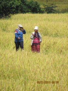 img_0558-3789926