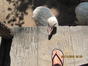 img_0719-8163425