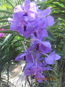 img_0825-5063355