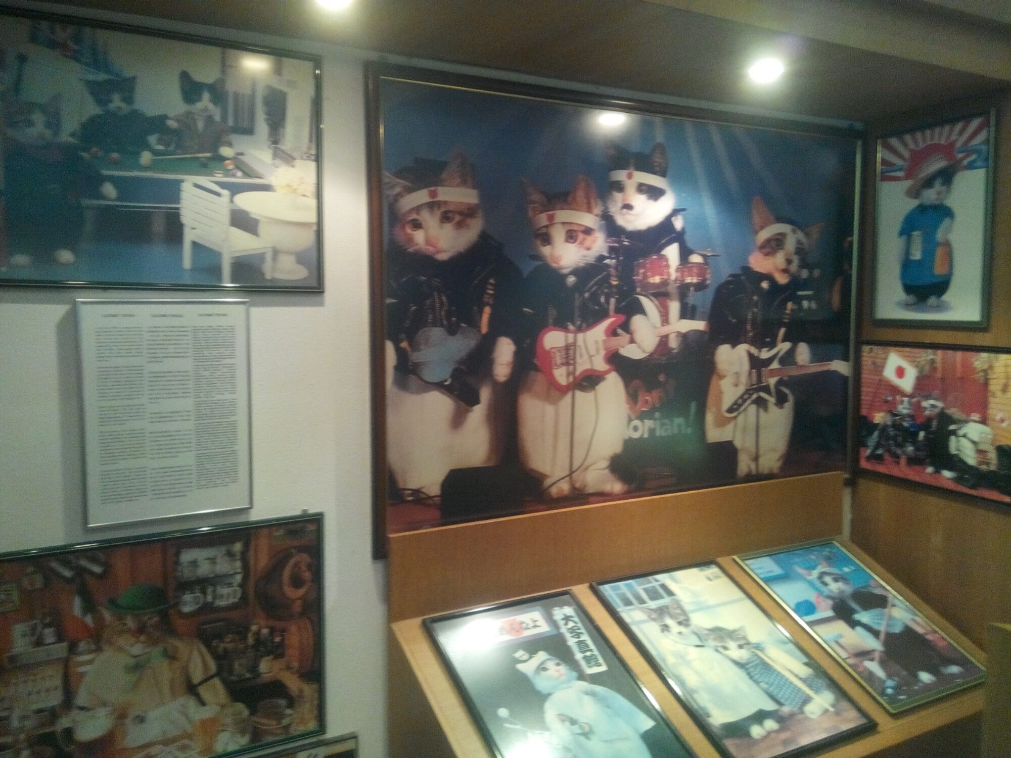 IMG_20160301_140720.jpg Kuching Cat Museum