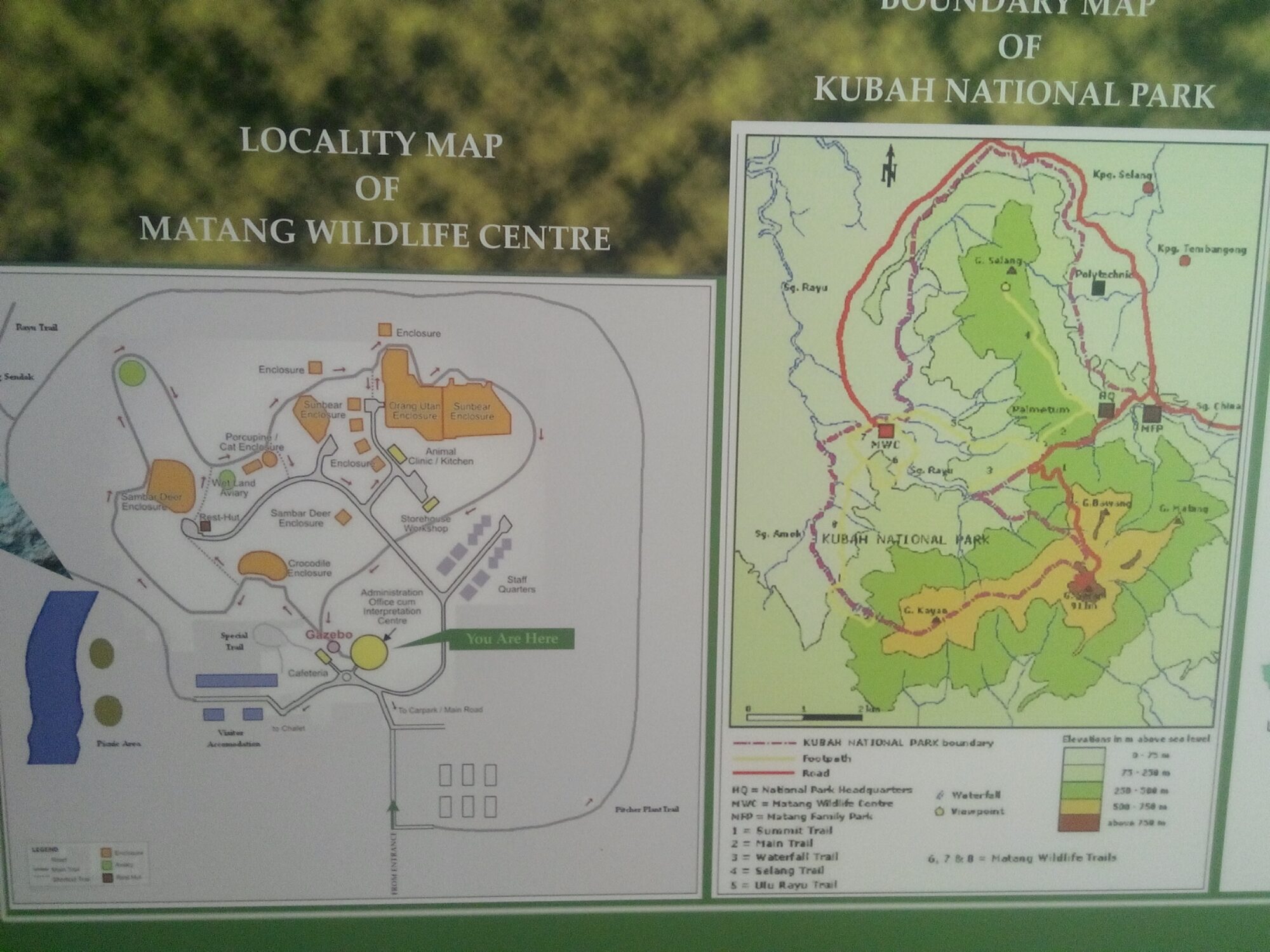 IMG_20160304_111140.jpg Matang Wildlife Centre