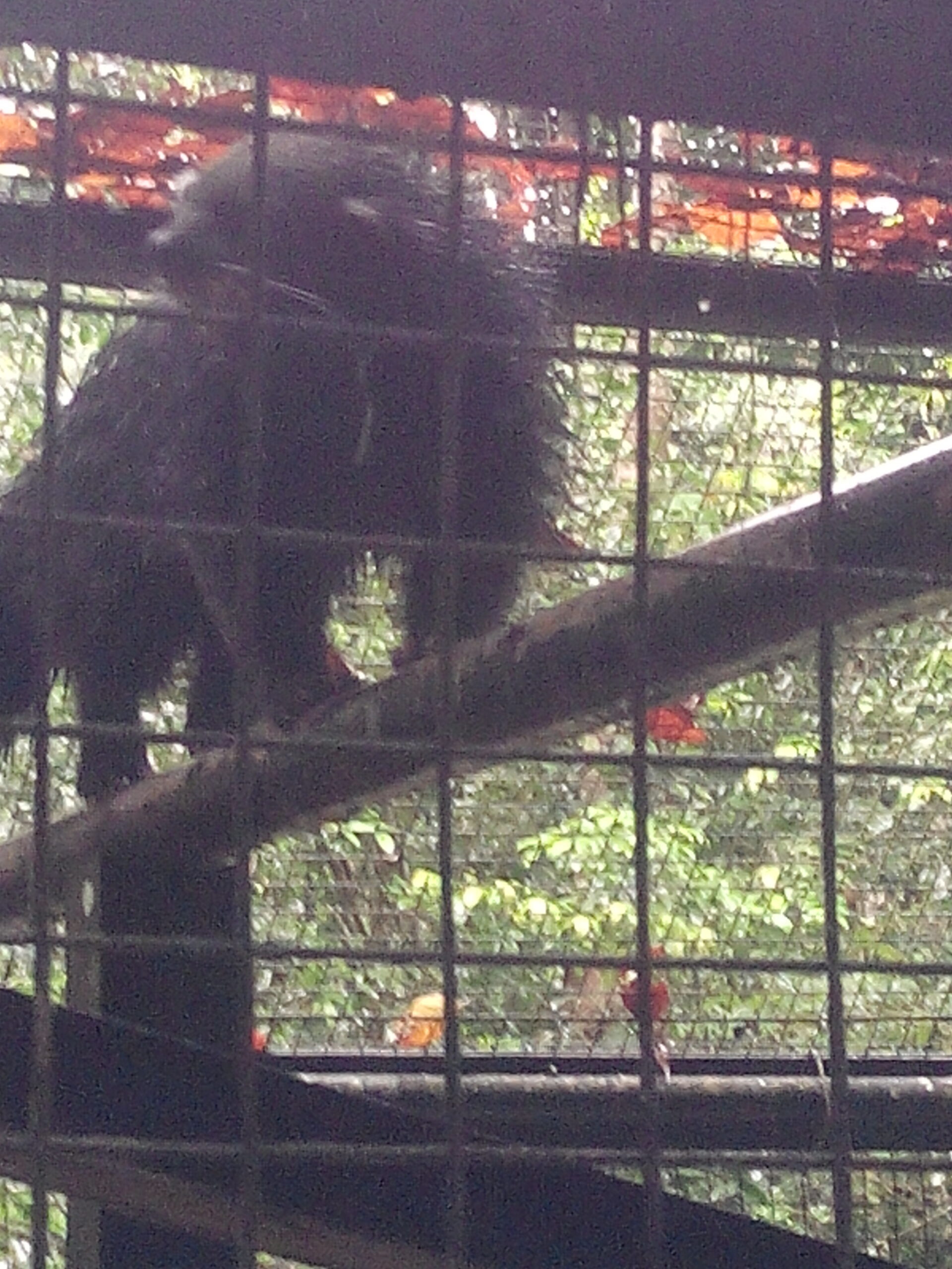 IMG_20160304_115001.jpg Matang Wildlife Centre