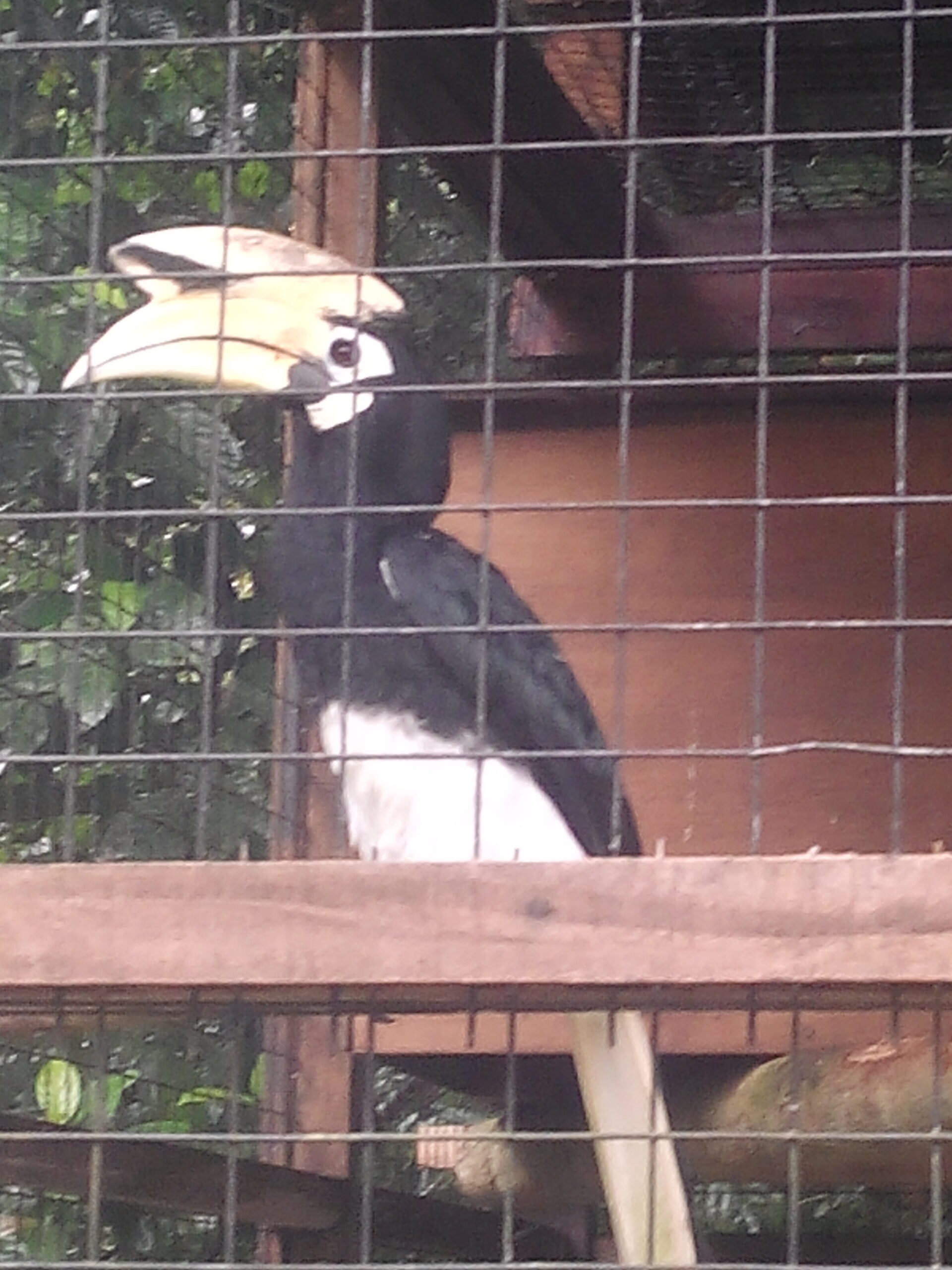 IMG_20160304_115834.jpg Matang Wildlife Centre
