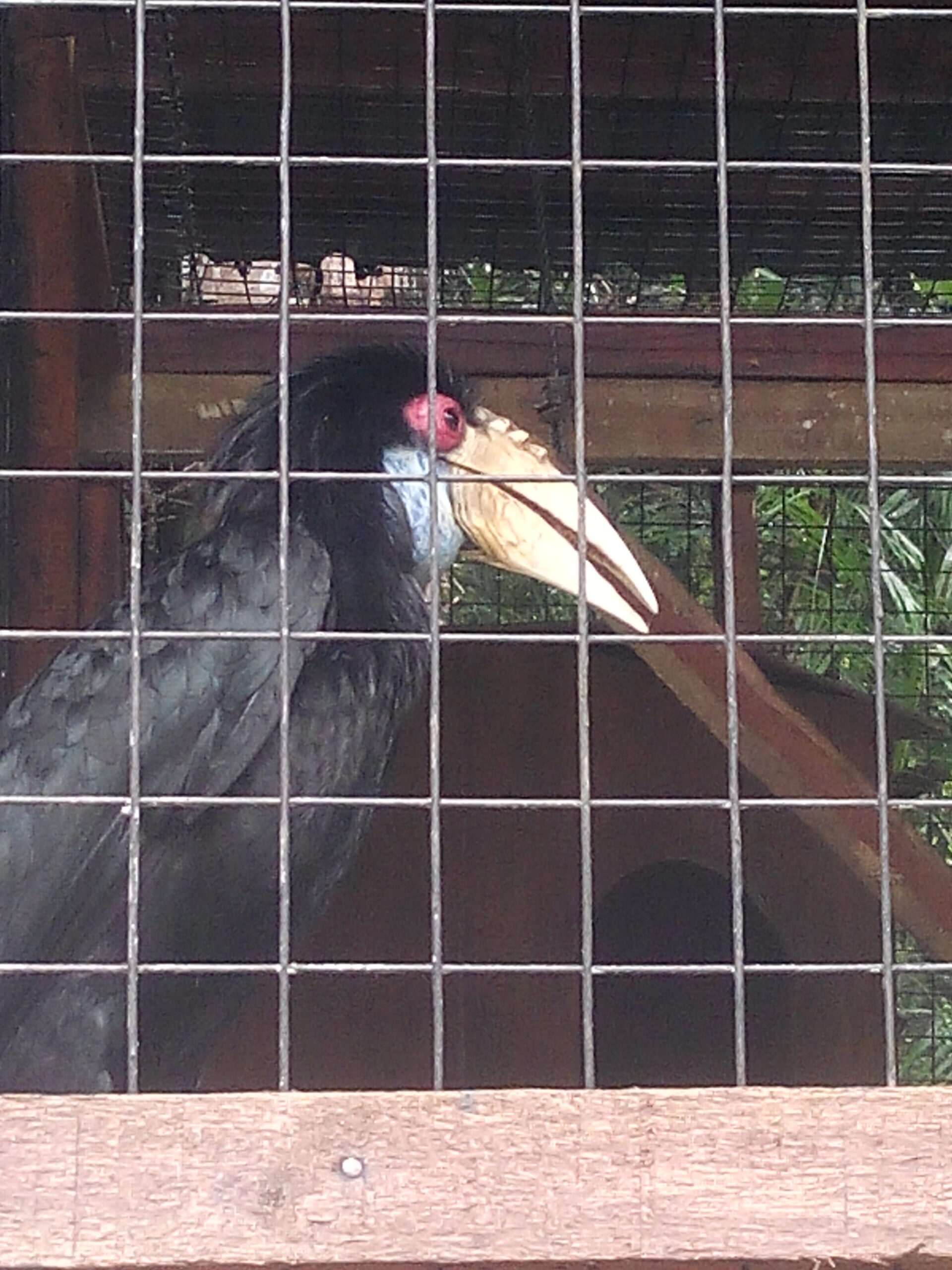 IMG_20160304_115940.jpg Matang Wildlife Centre