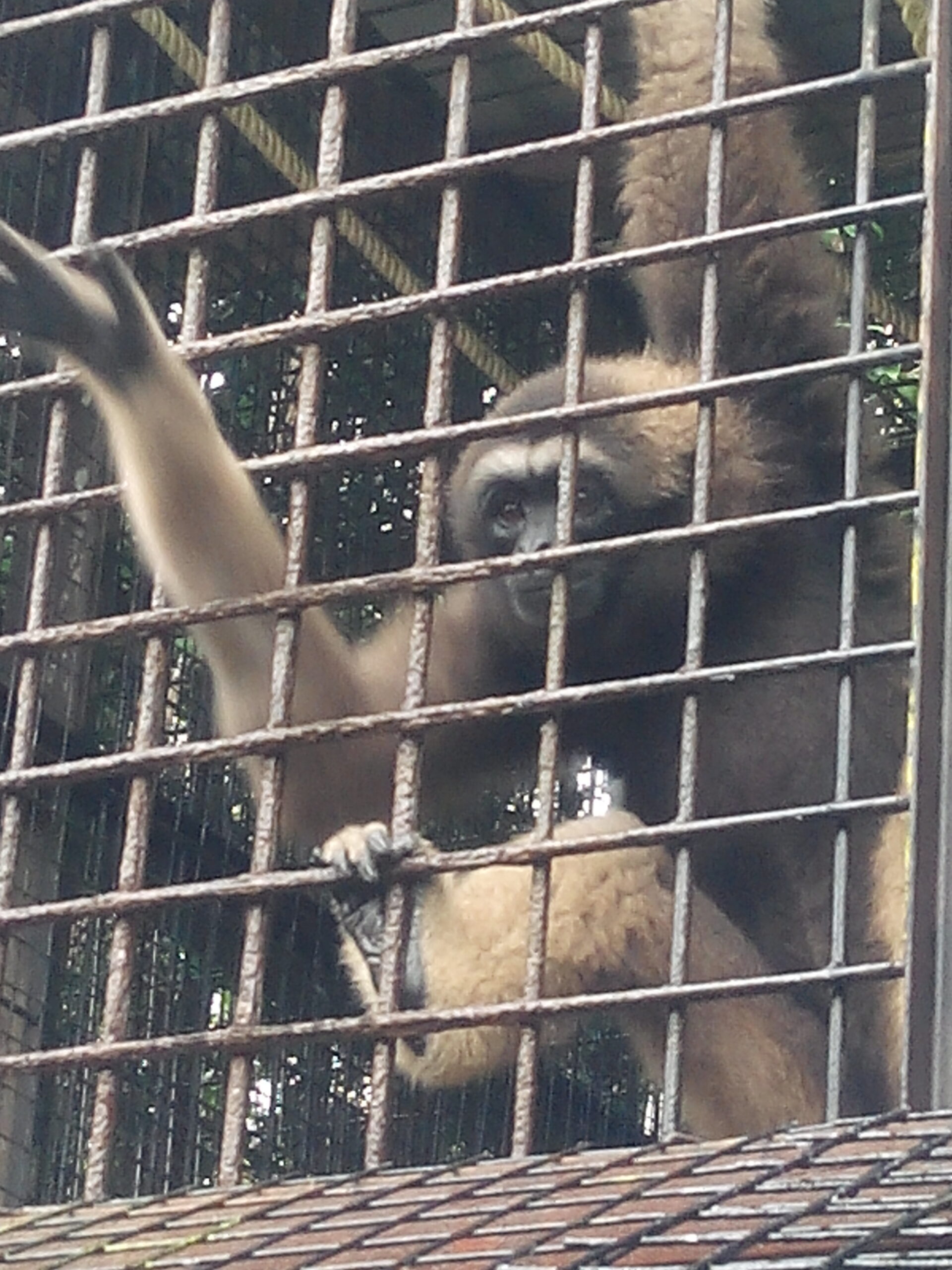 IMG_20160304_121259.jpg Matang Wildlife Centre