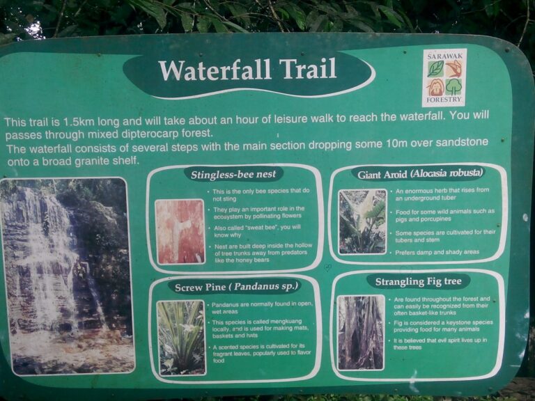 Waterfall Trail Borneo