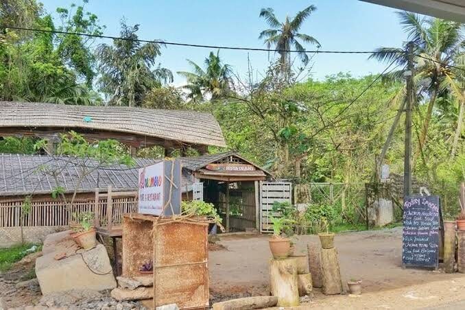 images-1203630324220774451-1996879