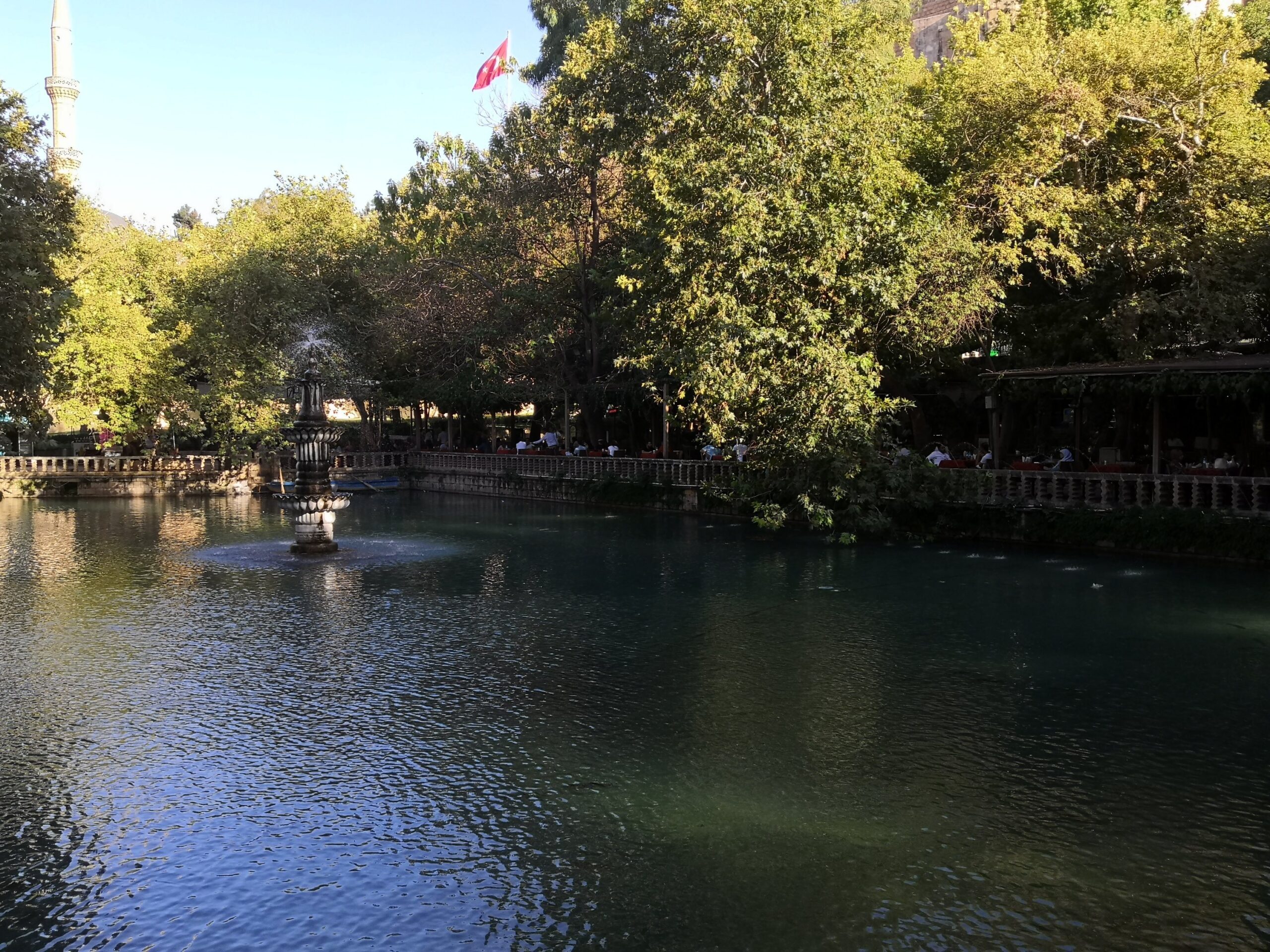 img_20210910_1656314445793536165157798-8706901