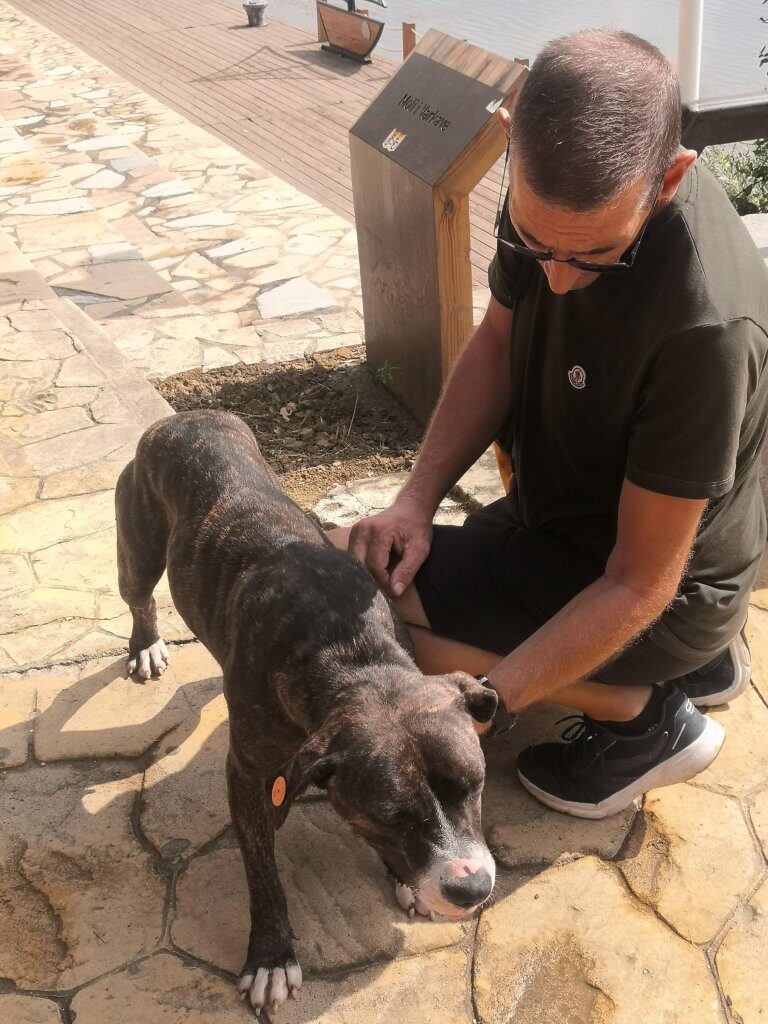 Rain, a lovely walk and an eviction! 16 img 20220909 141753334349562238336812 6791598