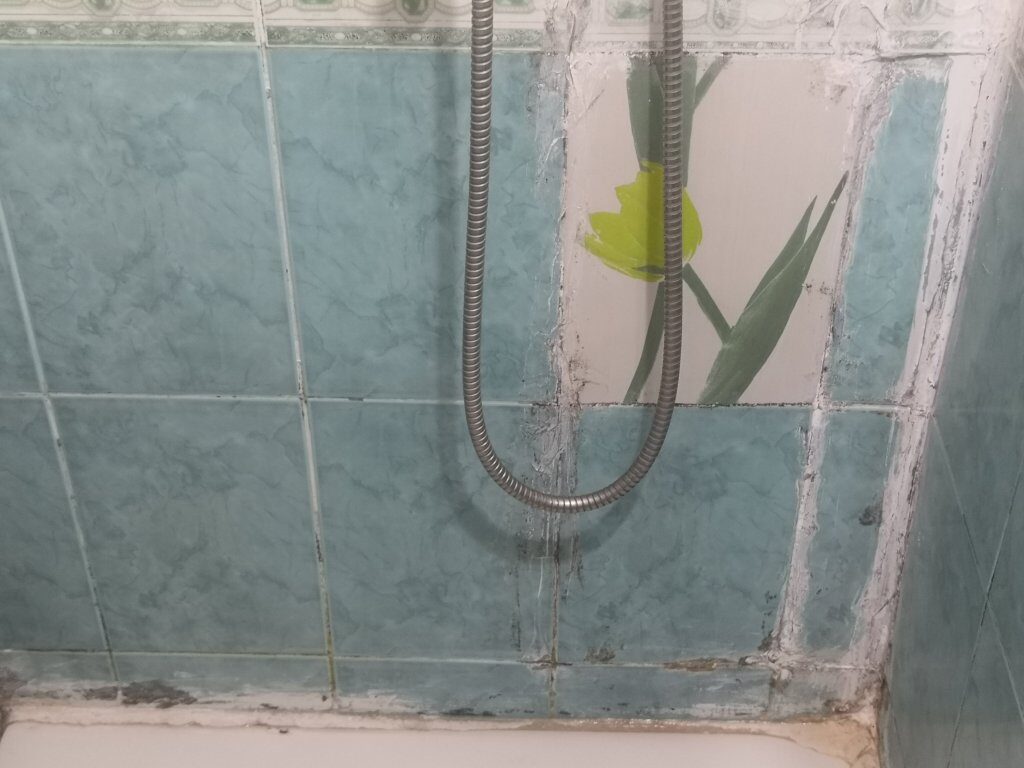 Rain, a lovely walk and an eviction! 21 img 20220909 1641411753820220931724443 8359509