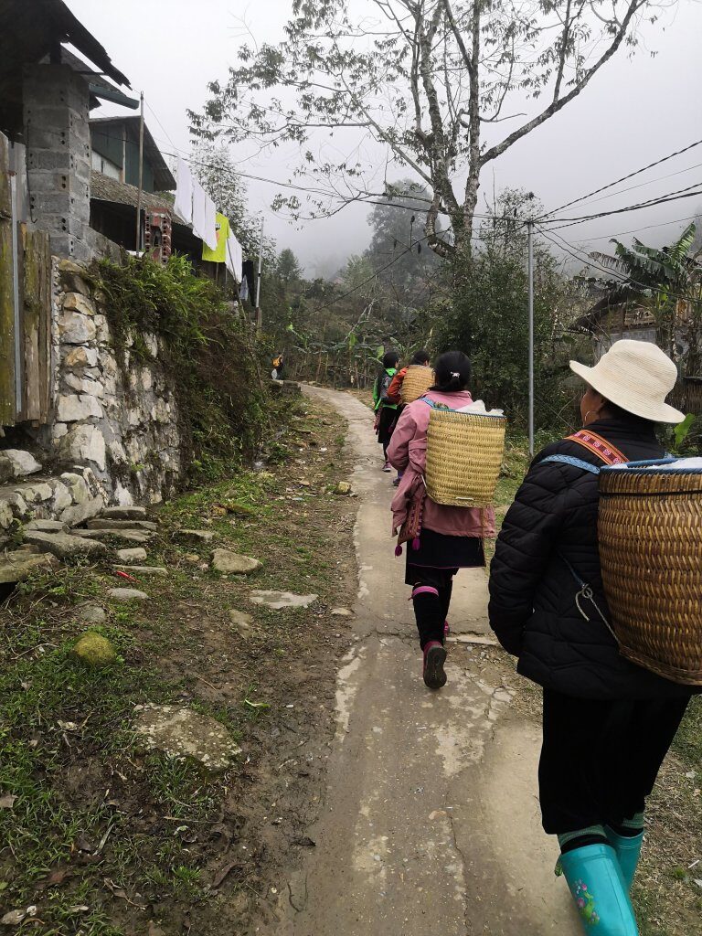 Trekking 10 img 20230220 112330 11637119367447461619 1998922