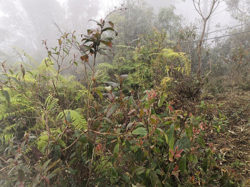 Trekking 13 img 20230220 125109 1563238905428564153 3896970