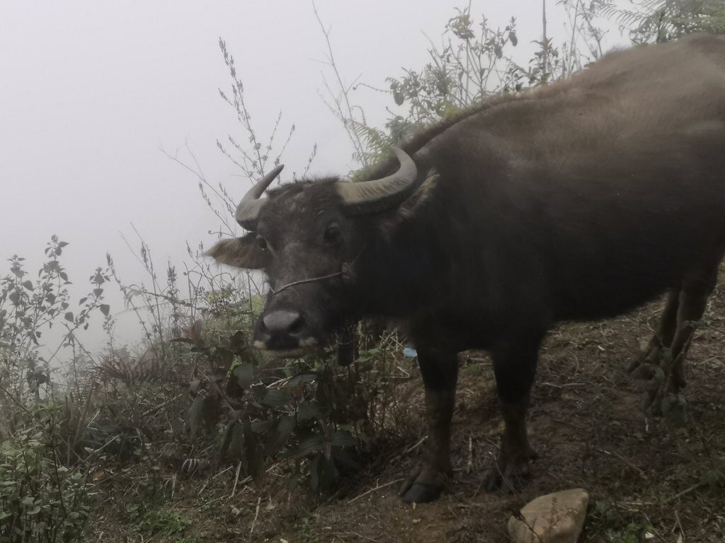 Trekking 21 img 20230220 151855 13142983382642421269 2185348