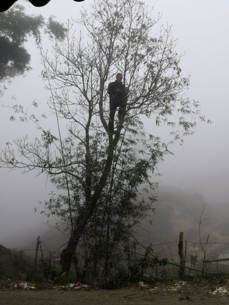 Trekking 30 img 20230220 1705381023332638296006842 8096857
