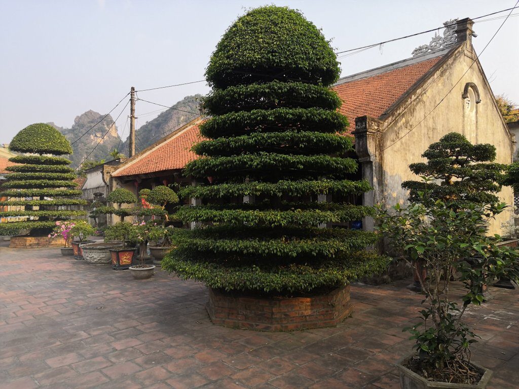 Ancient City of Hoa Lu