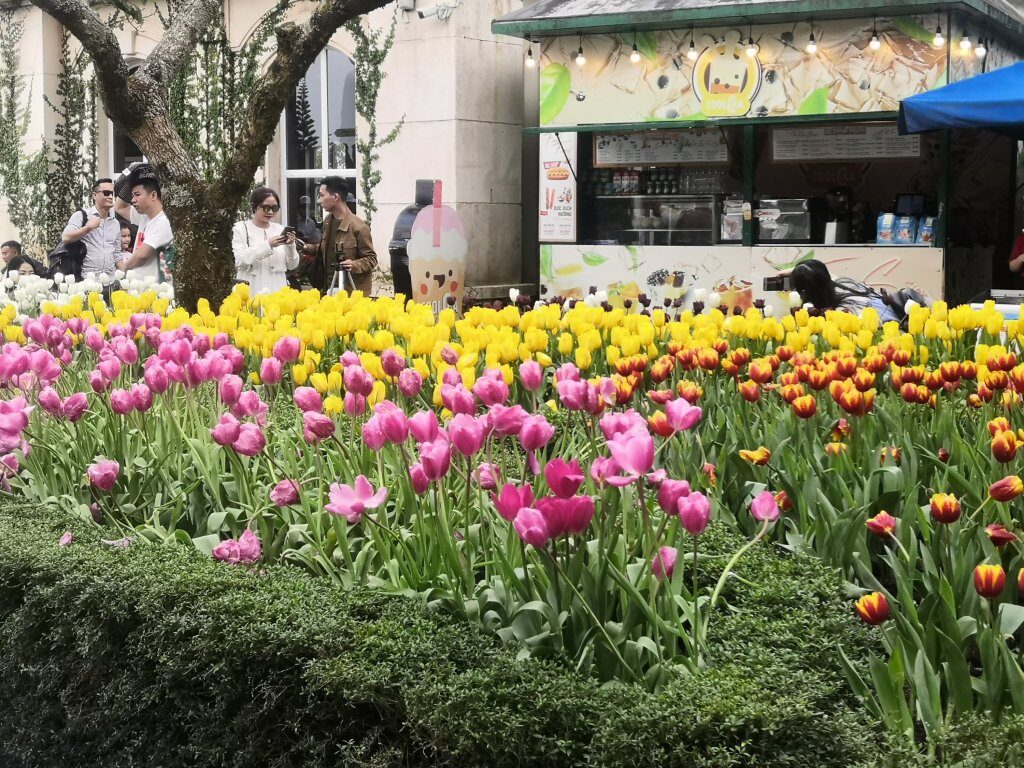 img 20230310 1348418955835221264951732 7148973