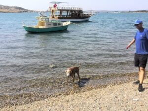 img_20230915_150014-8813890
