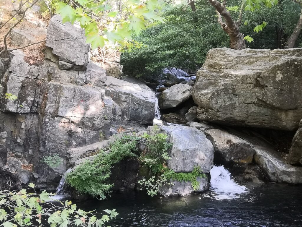 Hasanboğuldu