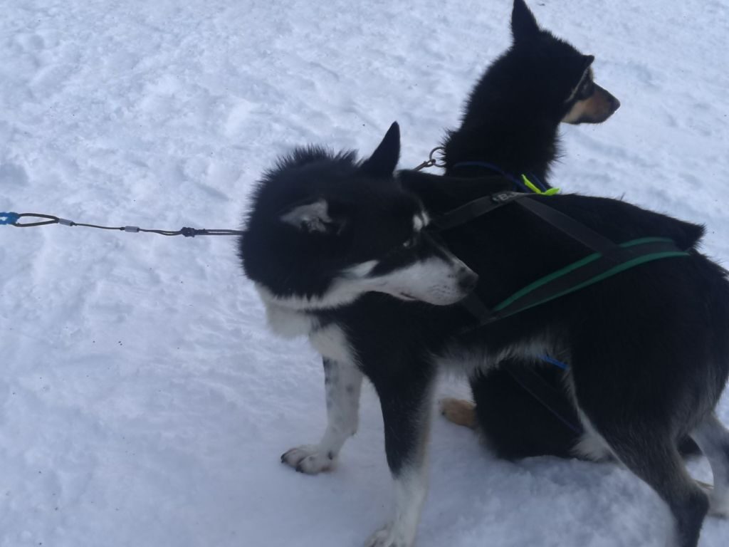 img_20240129_1131455791051564918443464-9288662