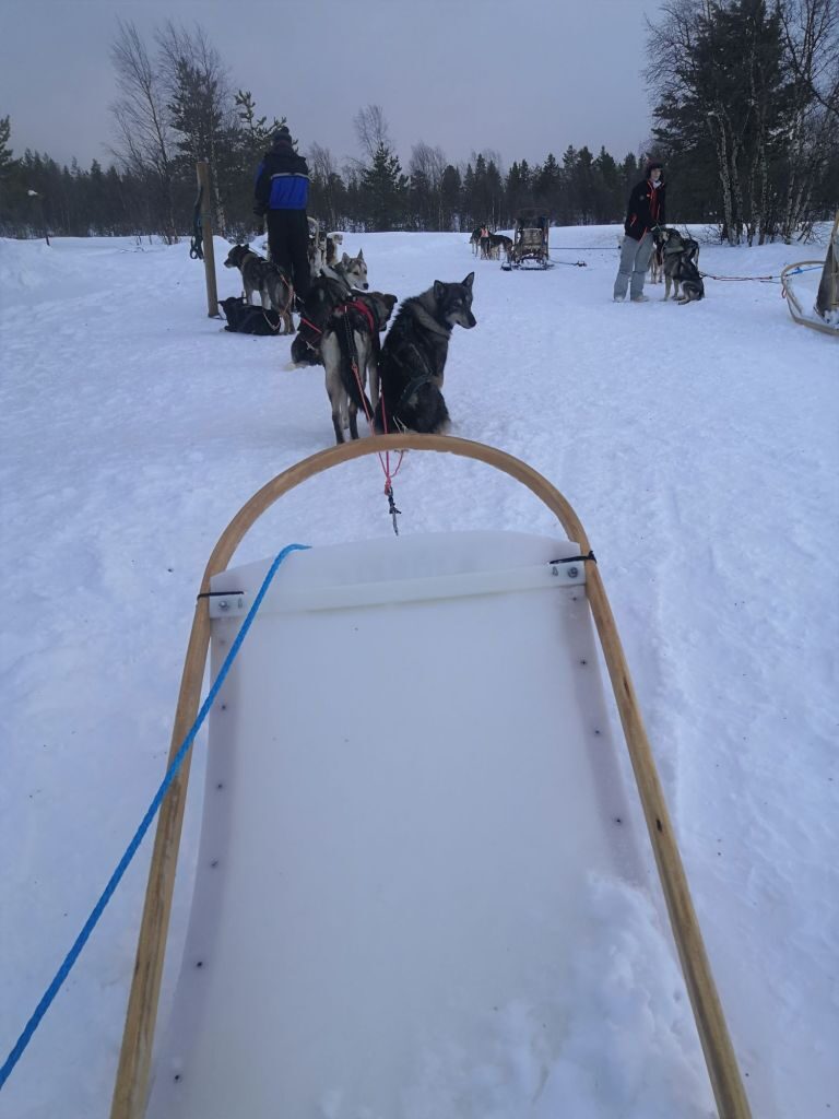 img_20240129_113343118198485136285952-2860283