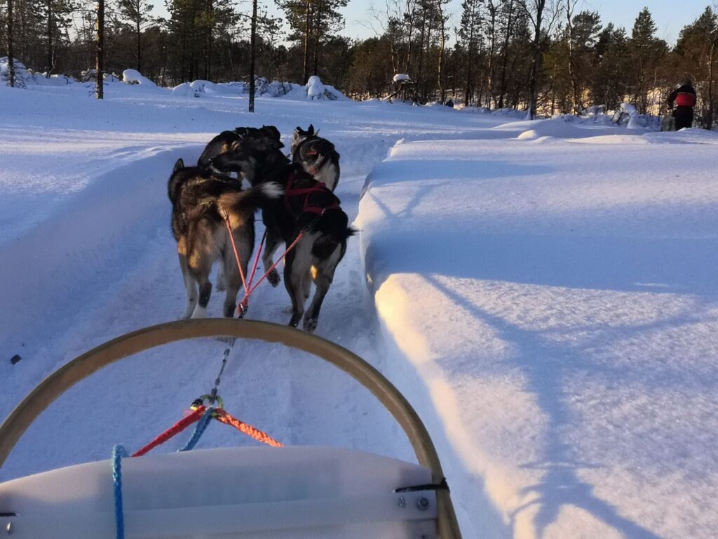 img_20240129_1156433528118736141748914