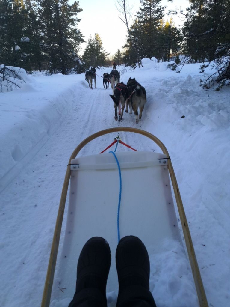 img_20240129_1207287739159911394247672-3489954