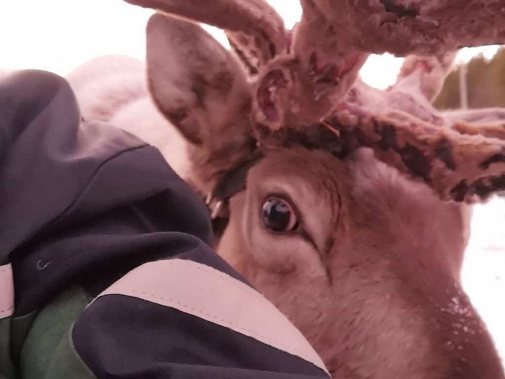 img_20240130_0937297574261472208604706-5259047