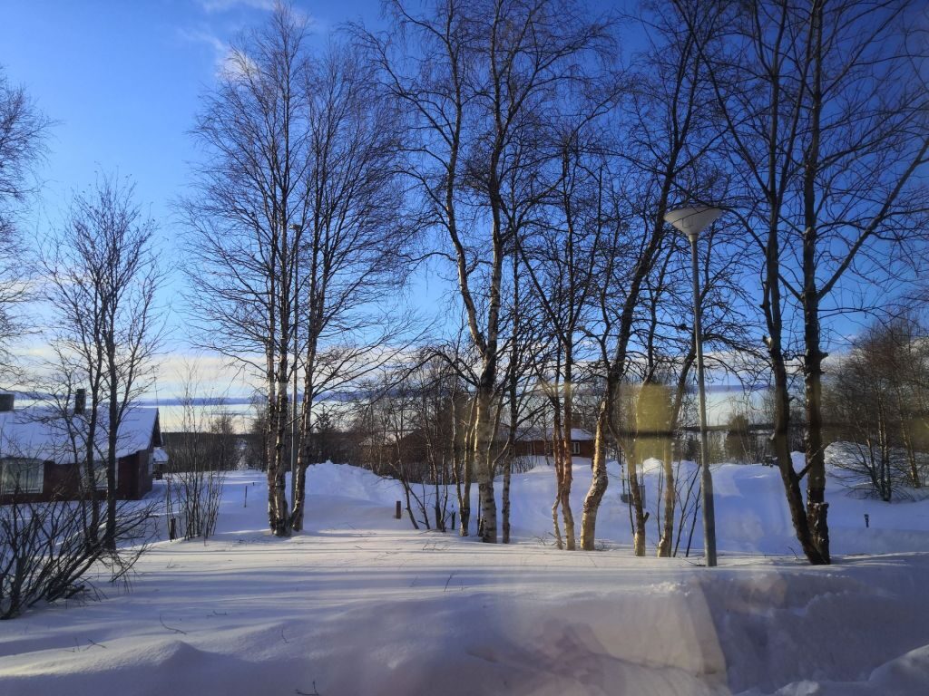 img_20240201_1217283025921558593692179-3030291