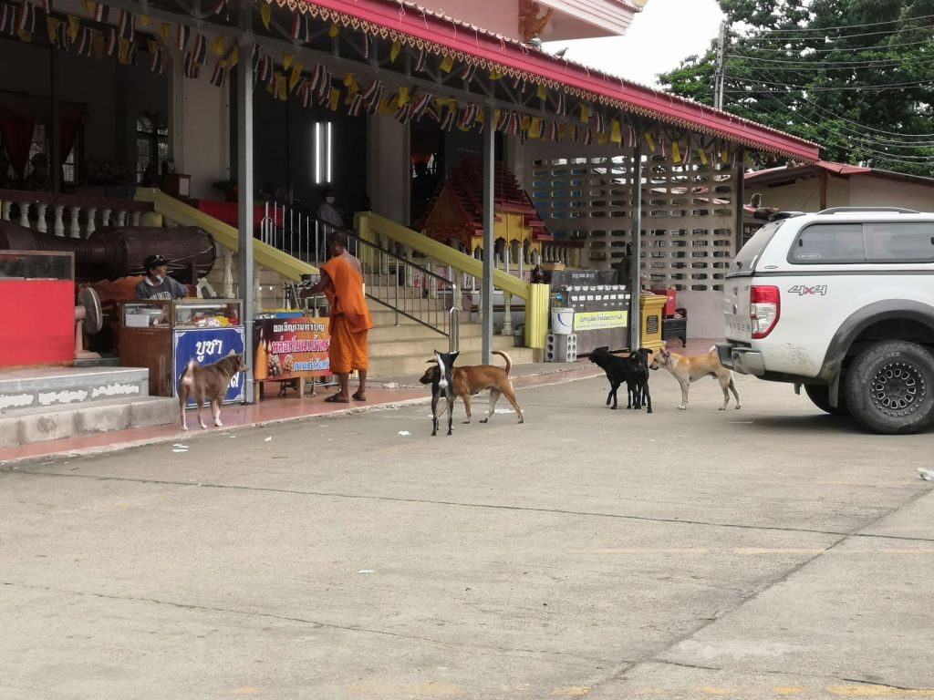 Loved today 32 Monkey mountain Khao Takiab Thailand