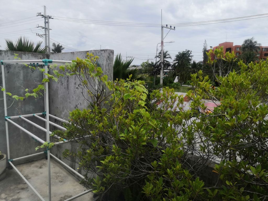 Off to Khao Tao 8 img 20240703 122322385748167054555668 3163822