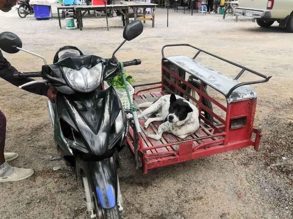 Off to Khao Tao 21 img 20240703 1527039056829999066002090 4389011