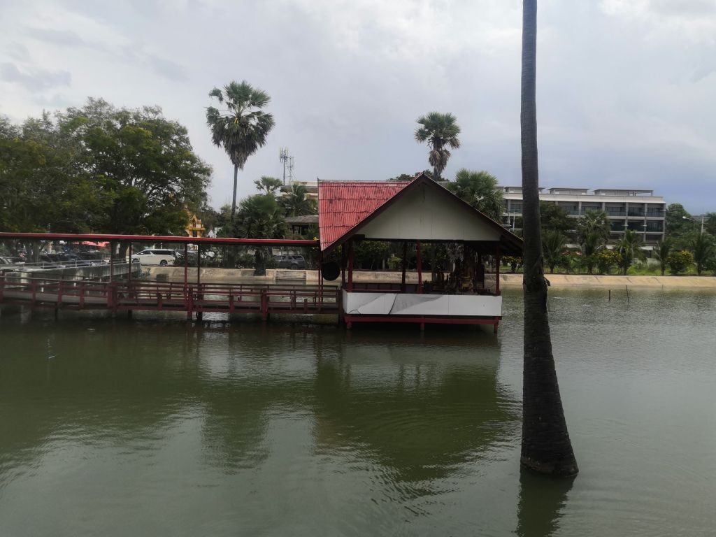 Off to Khao Tao 23 img 20240703 1529496221856359663827442 8189684