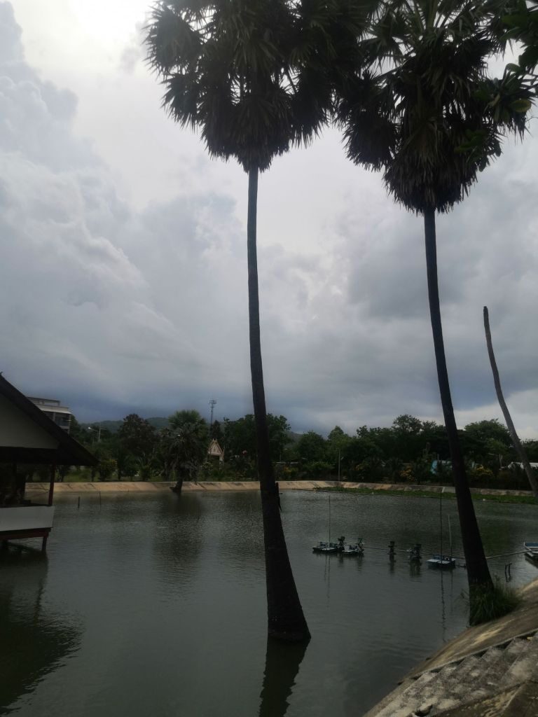 Off to Khao Tao 24 img 20240703 1530191063655363604227234 4690918