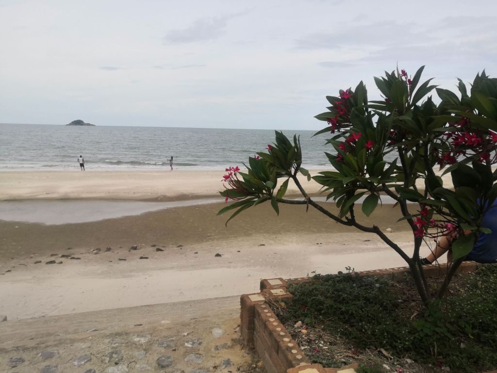Off to Khao Tao 28 img 20240703 1540014425771007883237908 8288898