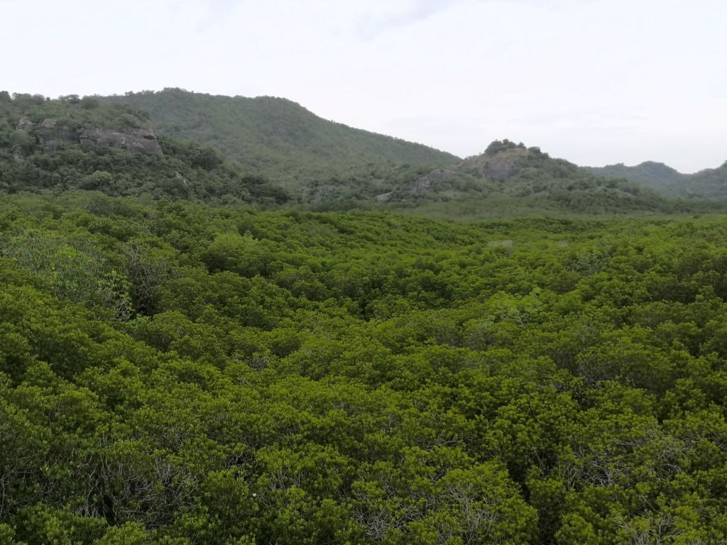 Pranburi Forest 12 img 20240704 114309852066859208126712 5141144