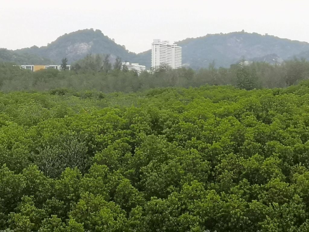 Pranburi Forest 13 img 20240704 1143168416537357761443413 4778636