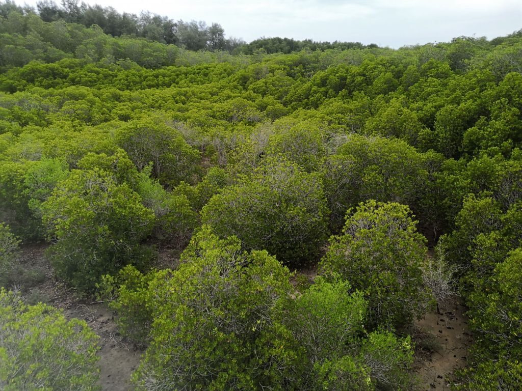 Pranburi Forest 14 img 20240704 1143361155345166234247 1520873
