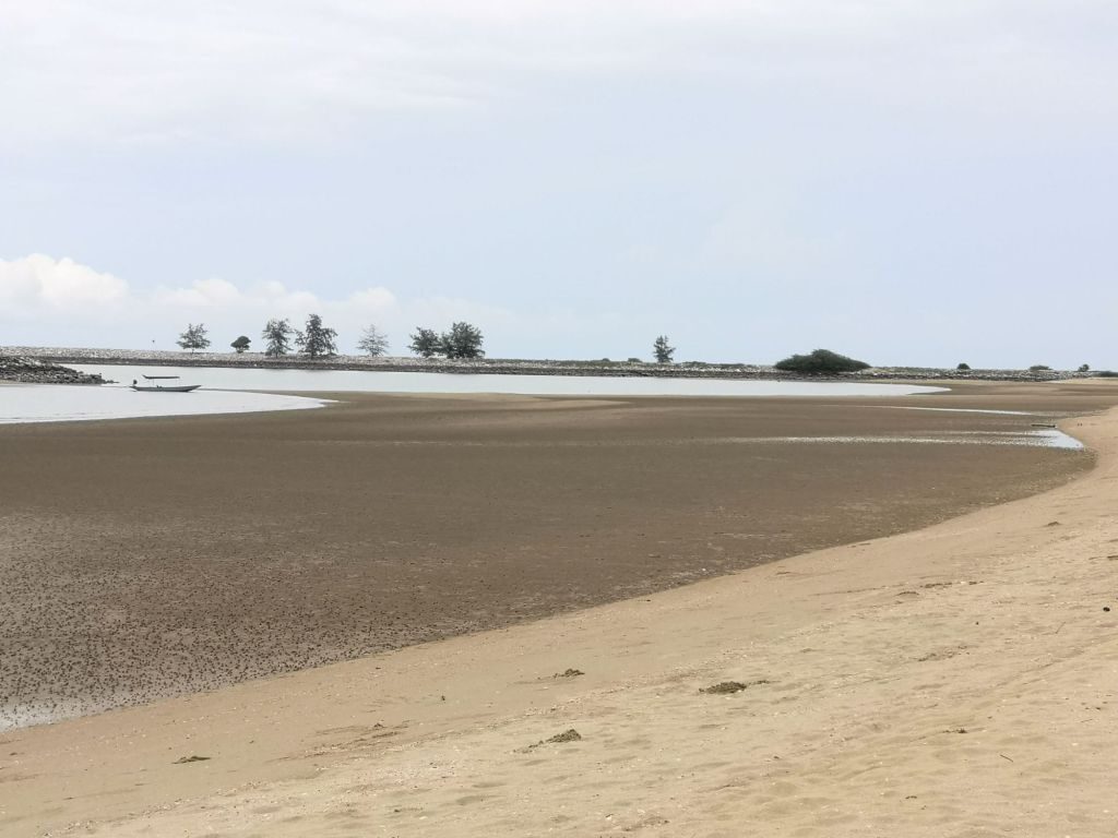 Pranburi Forest 18 img 20240704 1241428916088229655611504 7781052