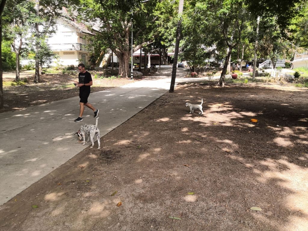 Back to Hua Hin 5 img 20240707 0945117212650692750811393 9714137
