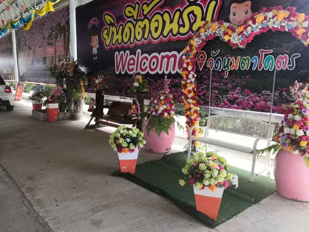 Back to Hua Hin 14 img 20240707 1018352455790663041429691 2694522