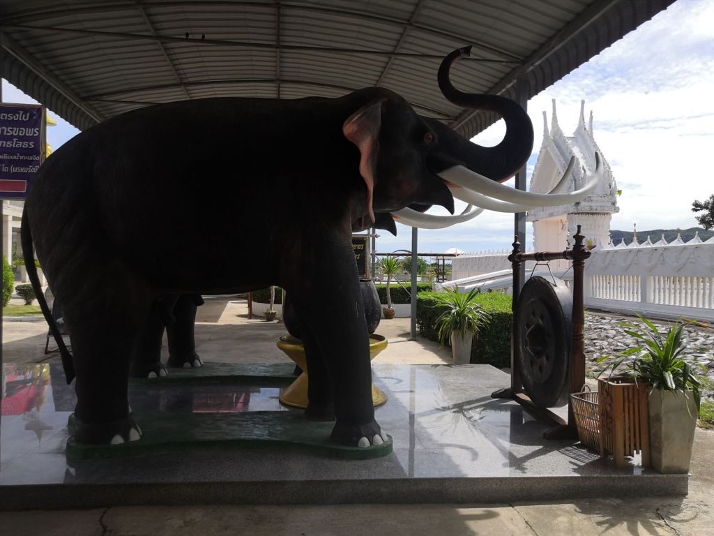 Back to Hua Hin 17 img 20240707 102121728733926532755390 5480073