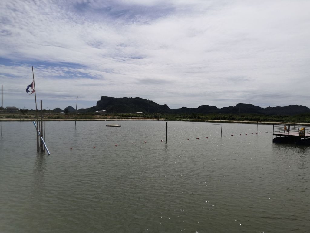 Back to Hua Hin 22 img 20240707 1024325512987206944841861 9801552