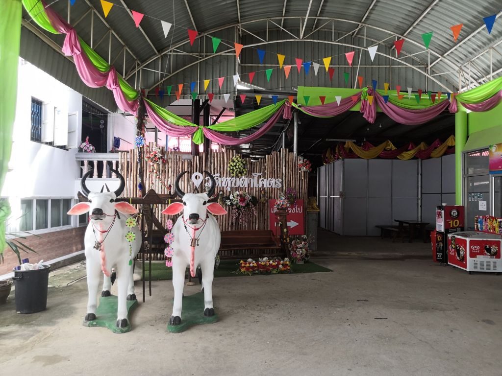 Back to Hua Hin 23 img 20240707 1032165618940207983698495 6505687