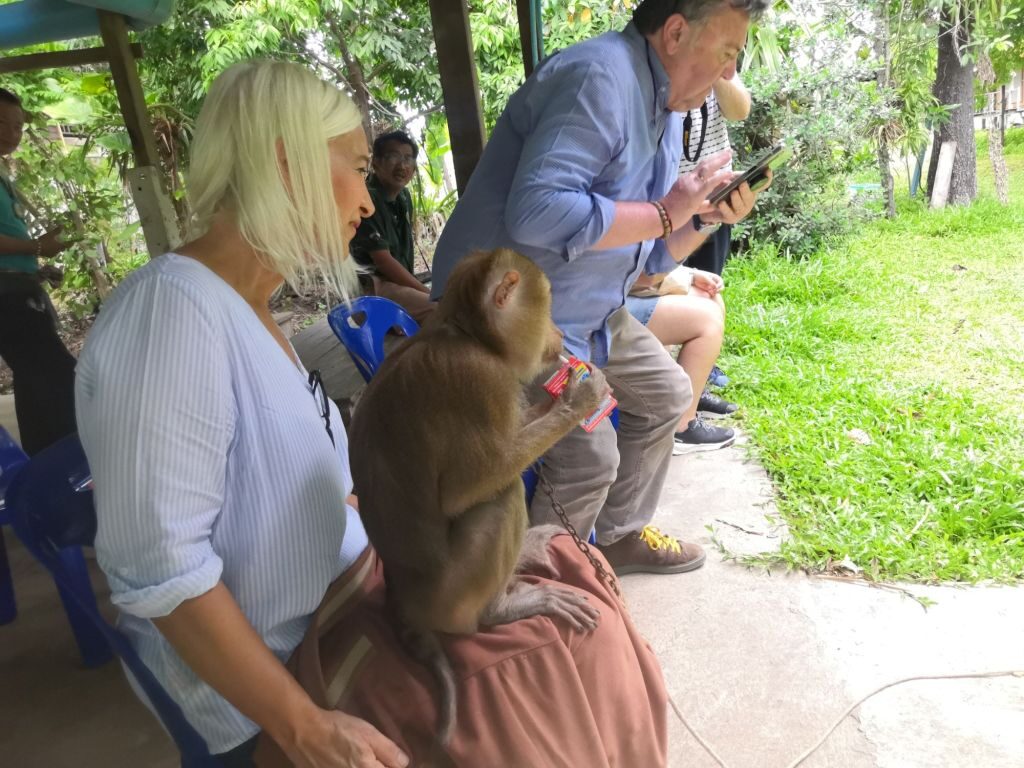 Monkey business 33 img 20240710 1416351576387968986764990 8331498