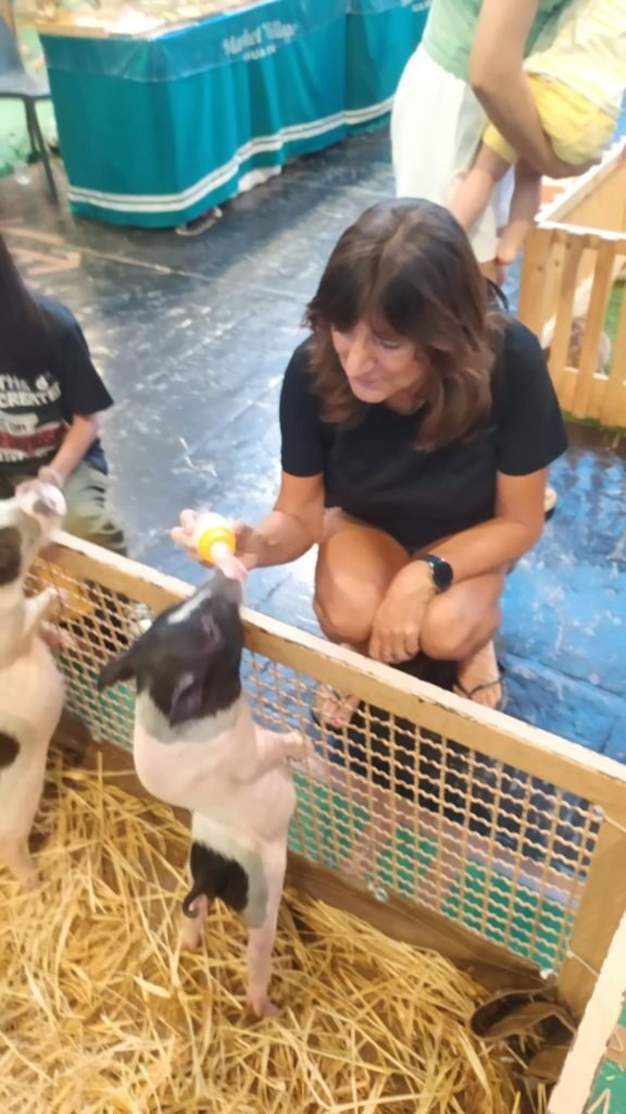 Loved today 49 Market Village Piglets