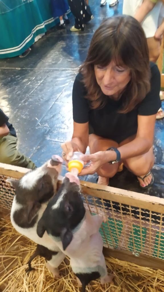 Loved today 48 Market Village Piglets