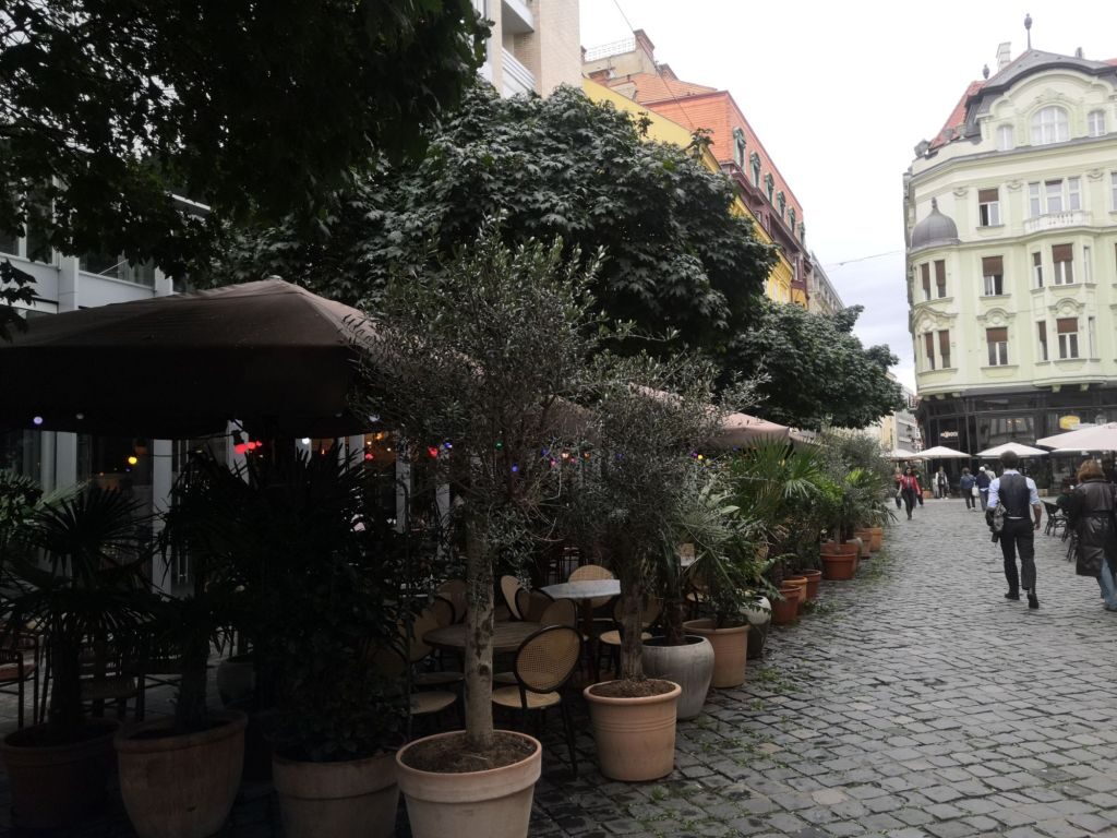 Time to explore Bratislava. 37 img 20240924 1500192116880780308165724 5425516