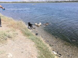 img_20250512_151710
