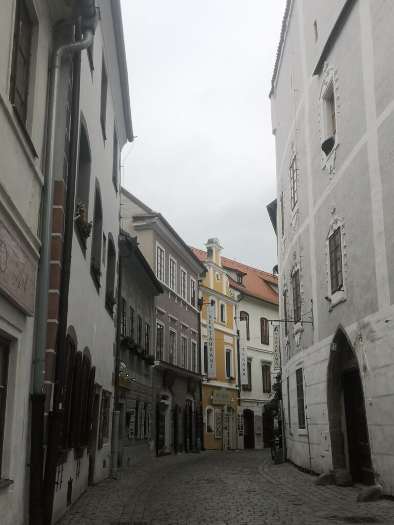 A day in wonderland. Cesky Krumlov. 28 IMG 20250528 132057 1 768x1024 8070391