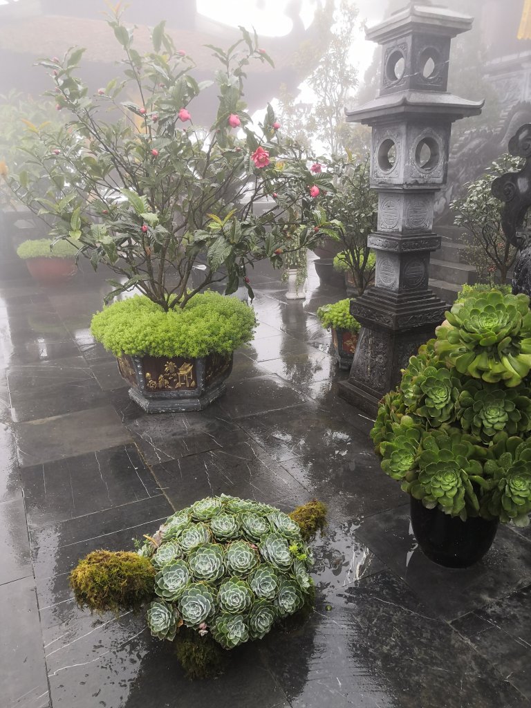 Sapa town and back to Hanoi 31 img 20230223 1043536441494758819778077 1774045 5530237.